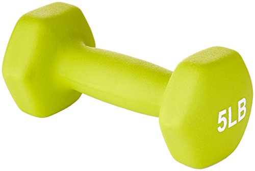 Basics Neoprene Workout Dumbbell Pink Set of 2 Weights 2-LBS
