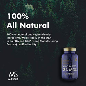 Premium High Absorption Wildcrafted Sea Moss | 1500mg Organic Irish Sea Moss, Bladderwrack, Burdock Root | 60 Vegan Capsules - Masole Labs by Sincere Supplements