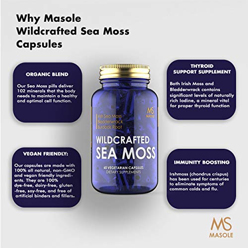 Premium High Absorption Wildcrafted Sea Moss | 1500mg Organic Irish Sea Moss, Bladderwrack, Burdock Root | 60 Vegan Capsules - Masole Labs by Sincere Supplements